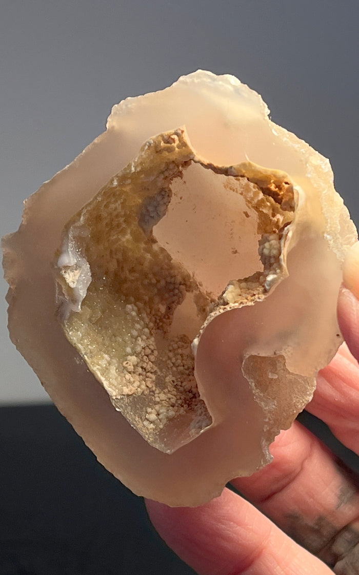 Agate Geode Half 051 - Of Coins & Crystals