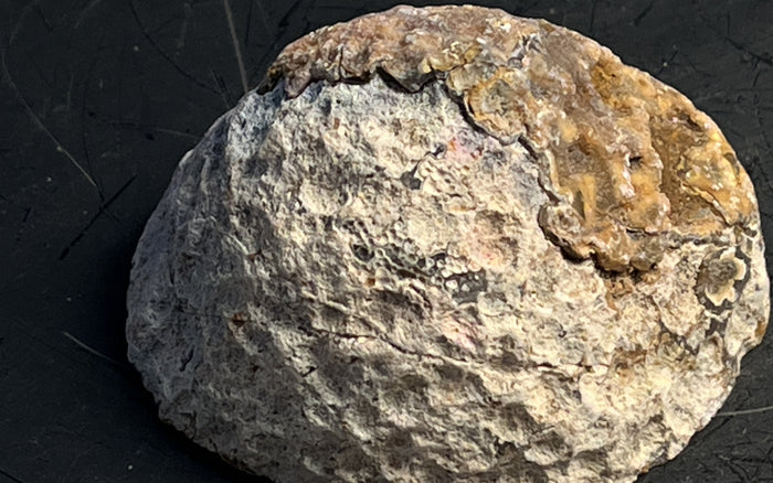 Agate Geode Half 052