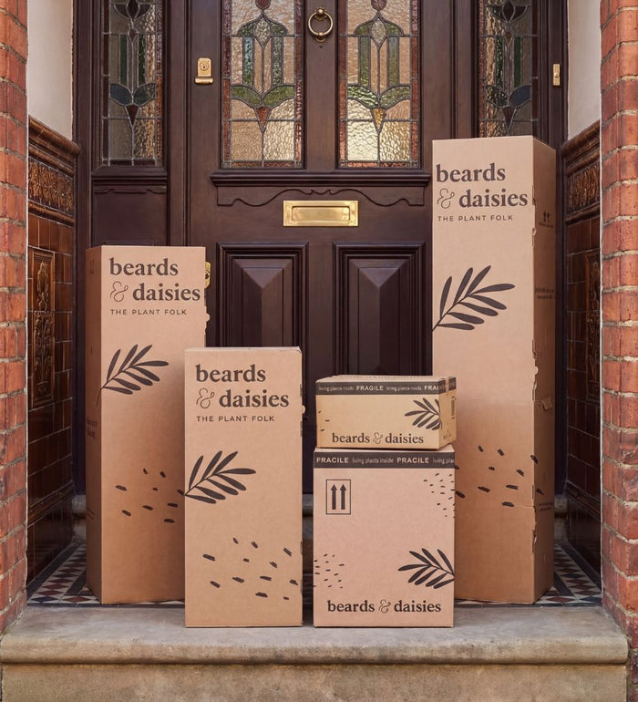 Artificial Swiss Cheese Plant
