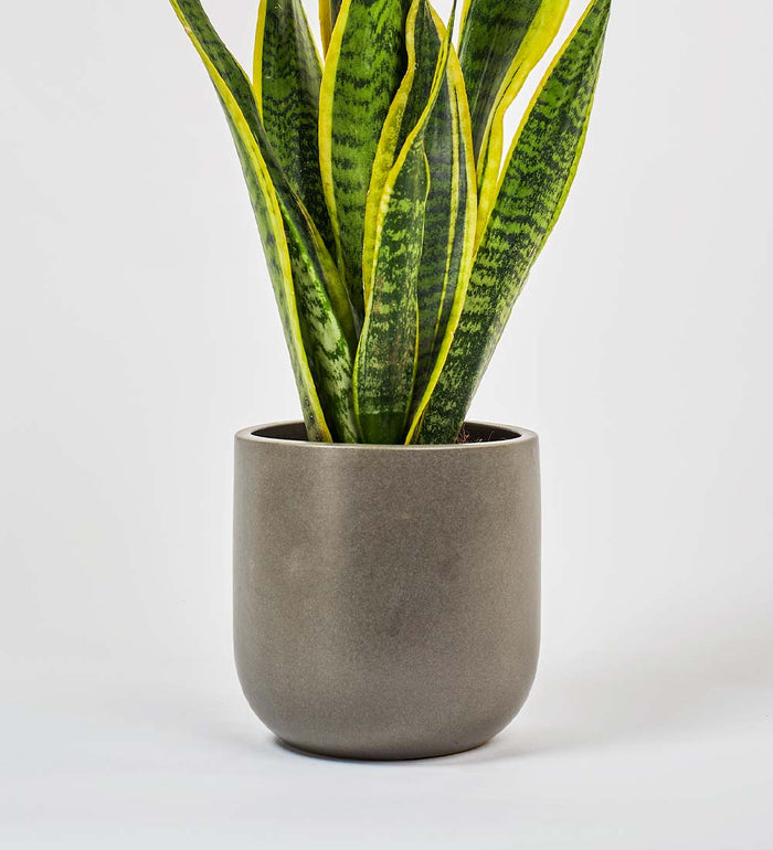 Graphite Earthenware Pot (16cm)