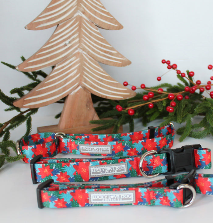Red poinsettia-themed Lucky Love Dog collars displayed with festive greenery and wooden Christmas dรฉcor.