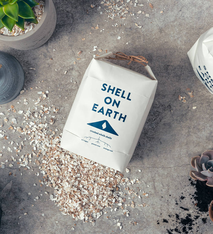 Shell On Earth
