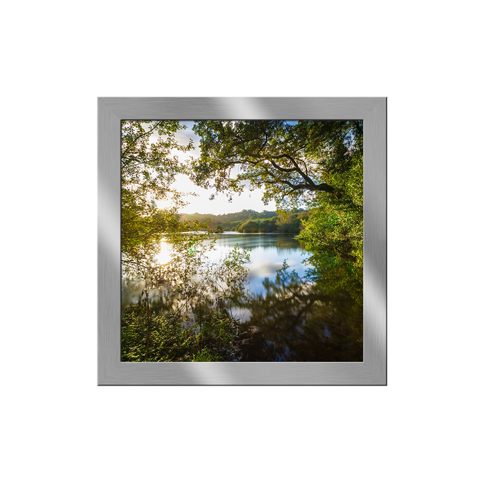 11027 - 24"x24" - Framed Print No Mat