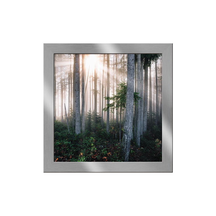 11038 "M" - Silver Frame Print no Mat - 24"x24" - Security Hangers