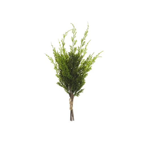 16" Cypress Pick