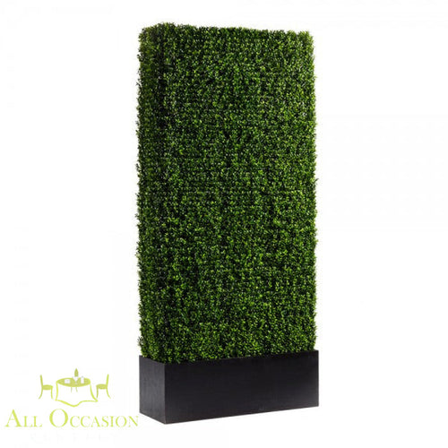 4 ft x 8 ft Boxwood Hedge Panel Rental for elegant events and celebrations, featuring realistic artificial foliage.