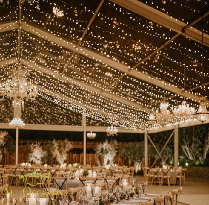 Bistro Lighting Rental 37.5ft white string lights creating an elegant atmosphere for an outdoor event.