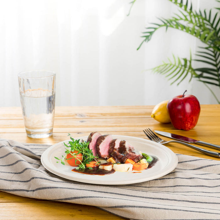 6 inch Natural Compostable & Disposable Sugarcane Plates, 600 Pack