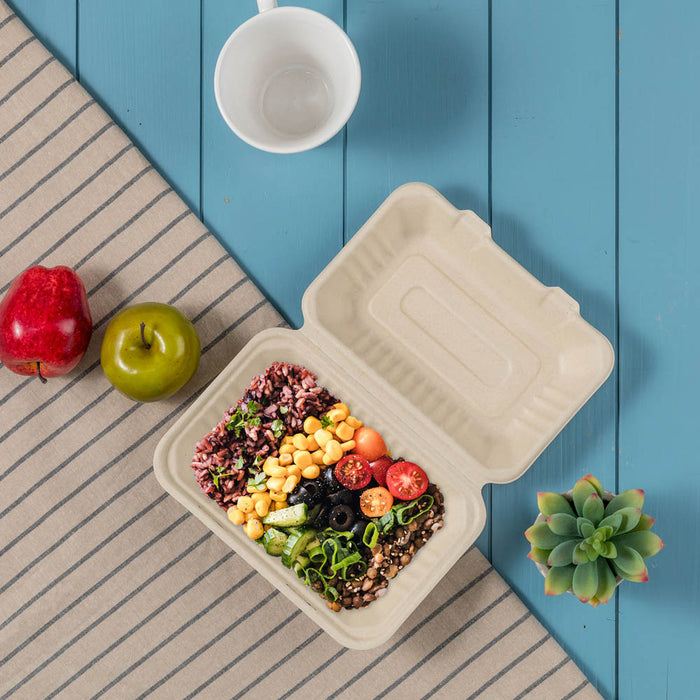 9 inch Natural Compostable & Disposable Sugarcane Clamshell Containers, 300 Pack
