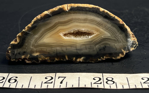 Agate Geode Half 055