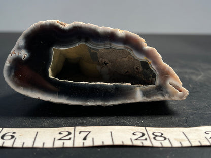 Agate Geode Half 057 - Of Coins & Crystals