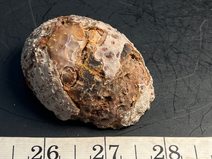 Agate Geode Half 068