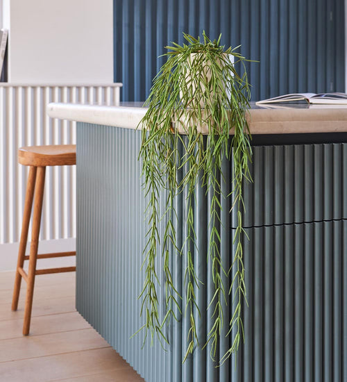 Artificial Hoya Linearis Hanging