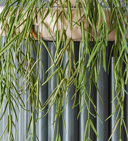 Artificial Hoya Linearis Hanging