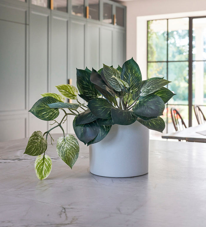 Artificial Pothos