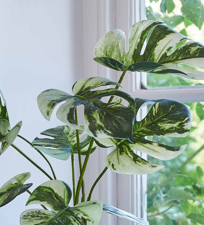 Artificial Variegated Monstera