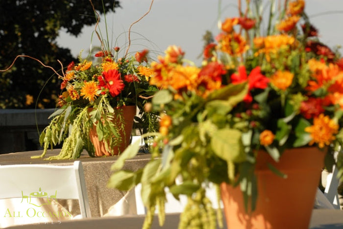 Autumn Orange & Red Centerpiece Rental featuring vibrant flowers in terracotta pots, perfect for fall events.