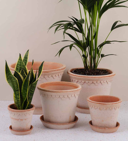 Bergs Potter Copenhagen Pot range in rose