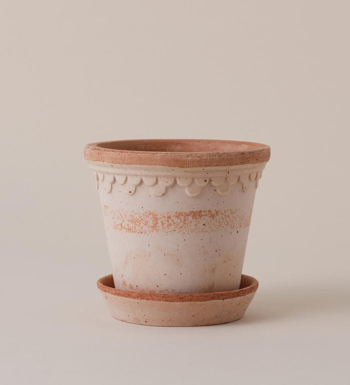 14cm / Rose