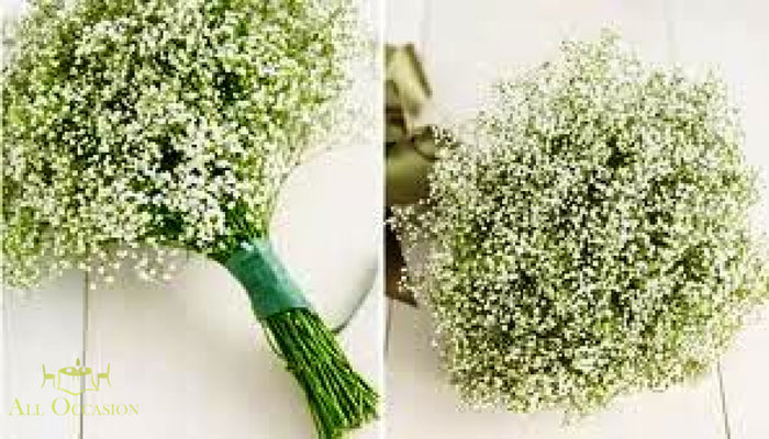 Bouquets Flowers featuring a delicate arrangement of baby's breath, perfect for weddings and special occasions.