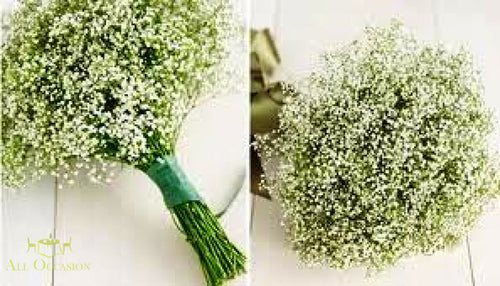 Bouquets Flowers featuring a delicate arrangement of baby's breath, perfect for weddings and special occasions.