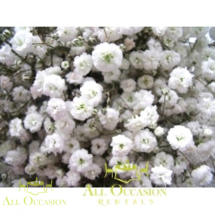 Bouquets Flowers featuring beautiful white floral arrangements perfect for weddings and special events.