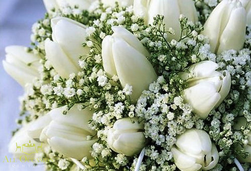 Bouquets Flowers.