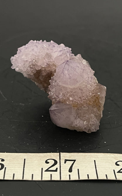 Cactus Amethyst 005