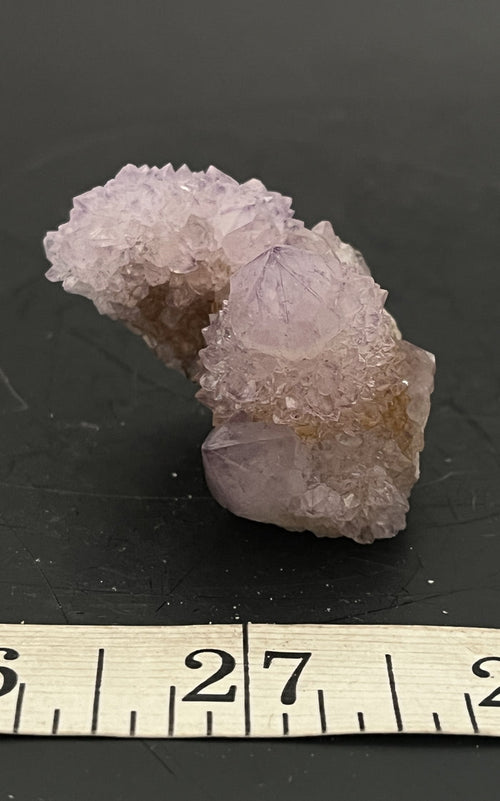 Cactus Amethyst 005