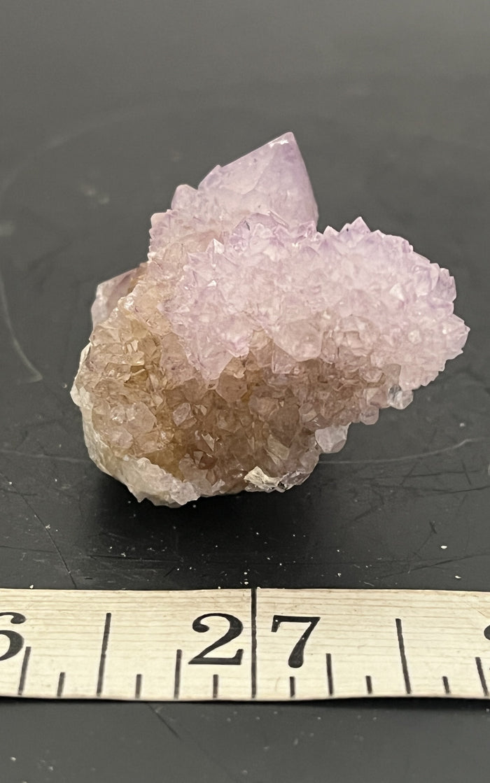 Cactus Amethyst 005