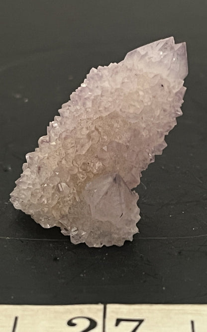 Cactus Amethyst 006