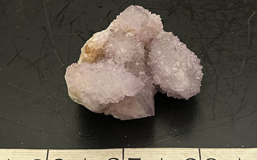 Cactus Amethyst 008 - Of Coins & Crystals