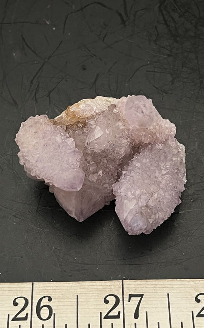 Cactus Amethyst 008 - Of Coins & Crystals