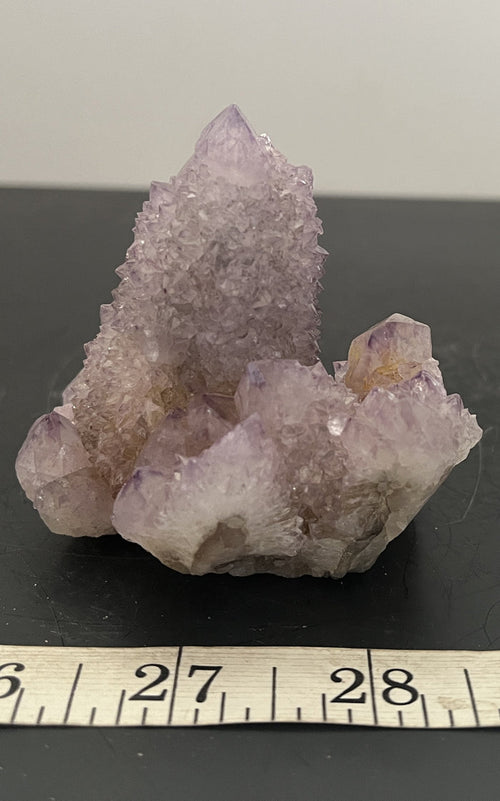 Cactus Amethyst 011 - Of Coins & Crystals