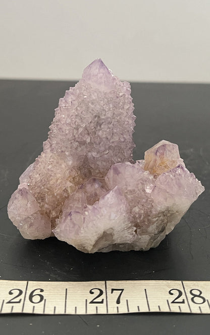 Cactus Amethyst 011 - Of Coins & Crystals