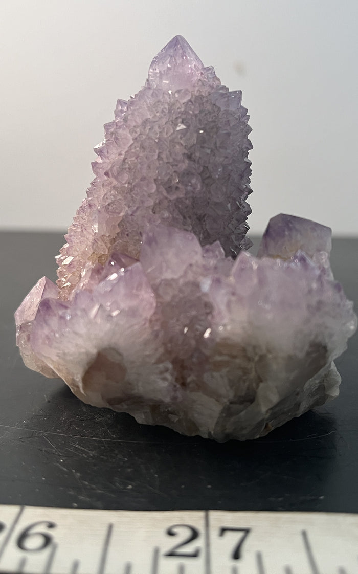 Cactus Amethyst 011 - Of Coins & Crystals