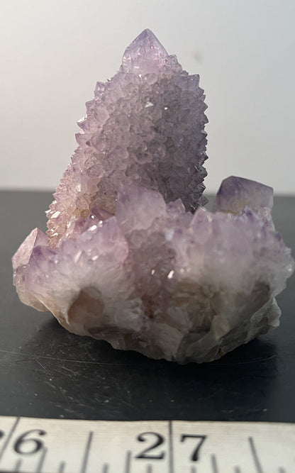Cactus Amethyst 011 - Of Coins & Crystals
