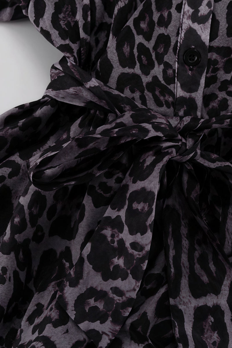 Chiffon Leopard Print Long Sleeve Mini Dress