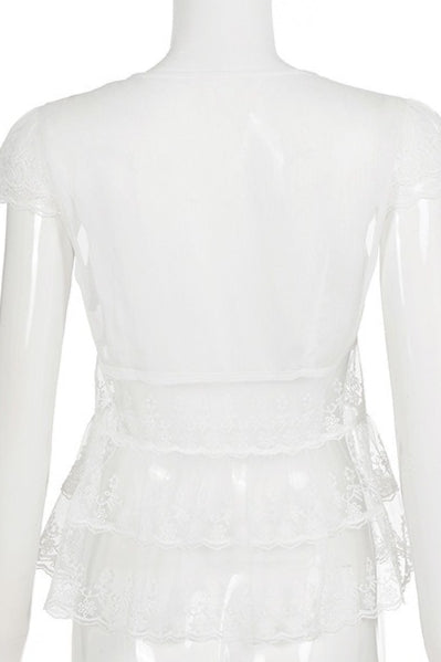 Elegant Solid Lace V Neck Sheer Blouse