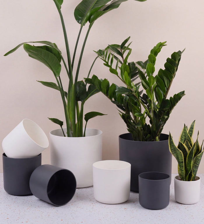 Elho Matt Pot range