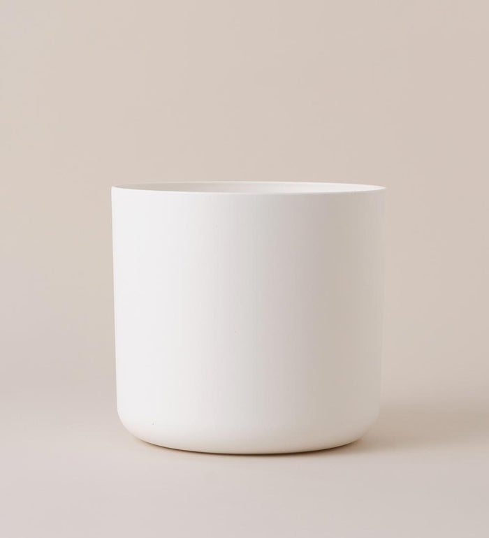 25cm / White