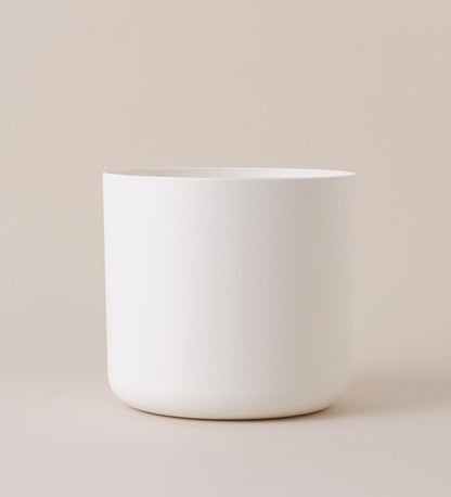 25cm / White