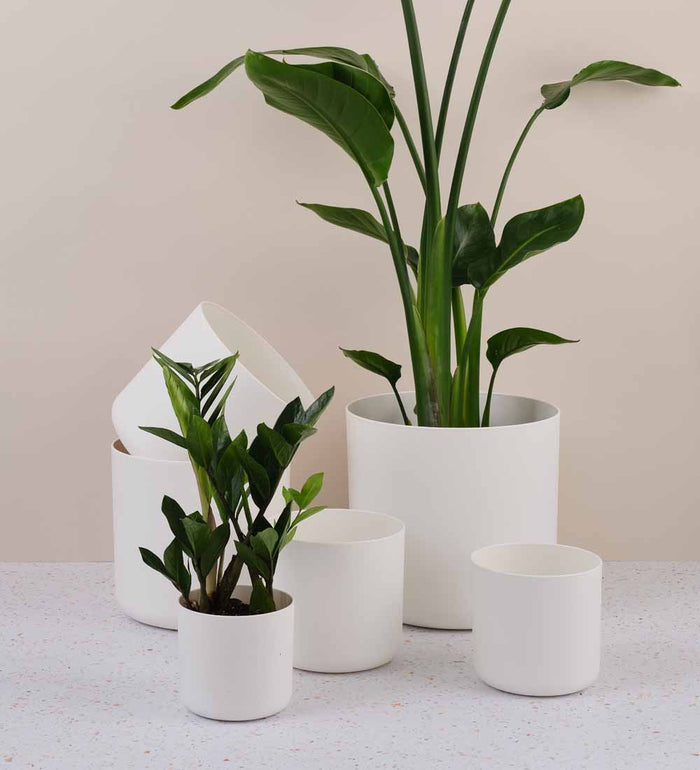Elho Matt Pot range in white