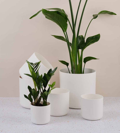 Elho Matt Pot range in white