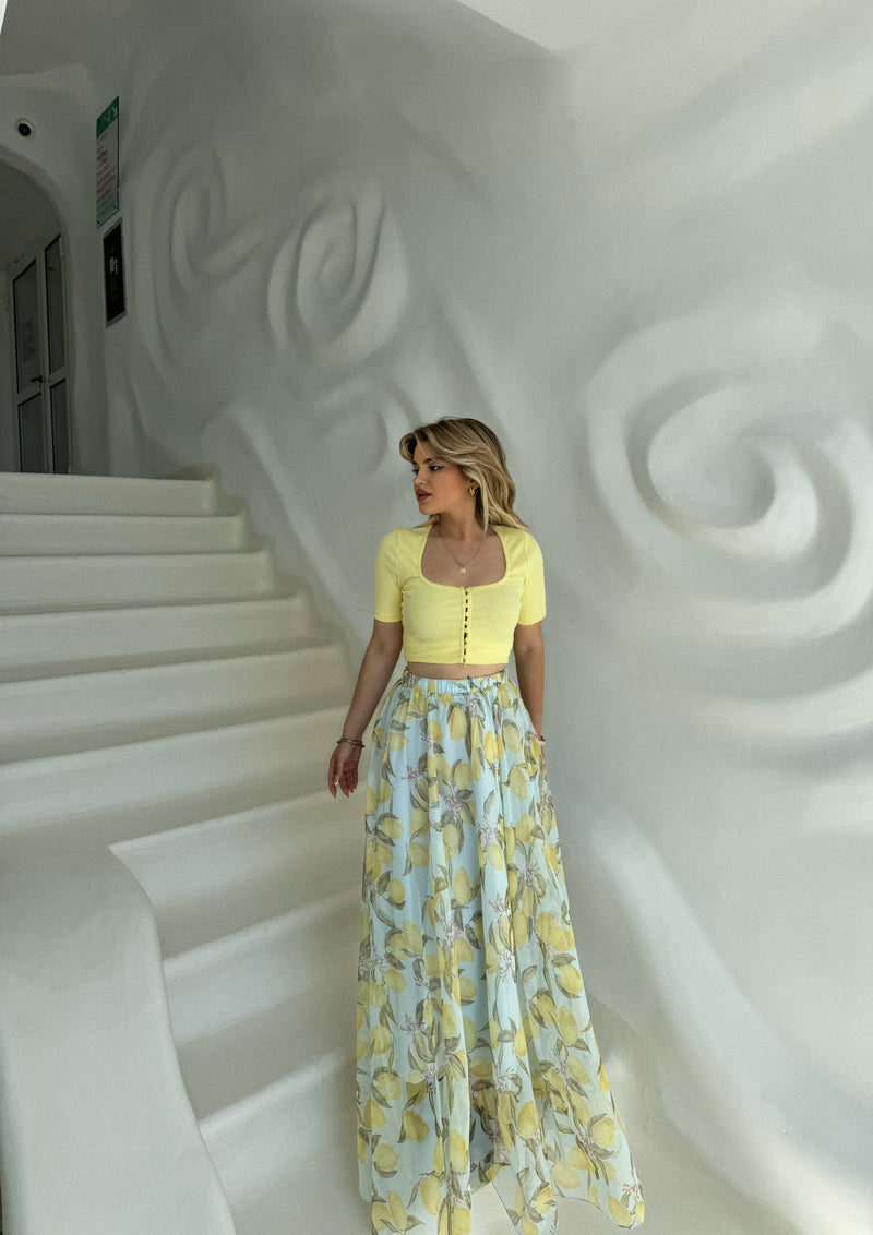 FUND ME LIMONA