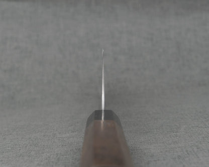 Hatsukokoro "Hayabusa" Aogami Super 180mm Bunka
