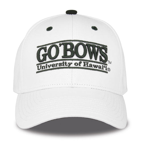 Hawaii snapback hat
