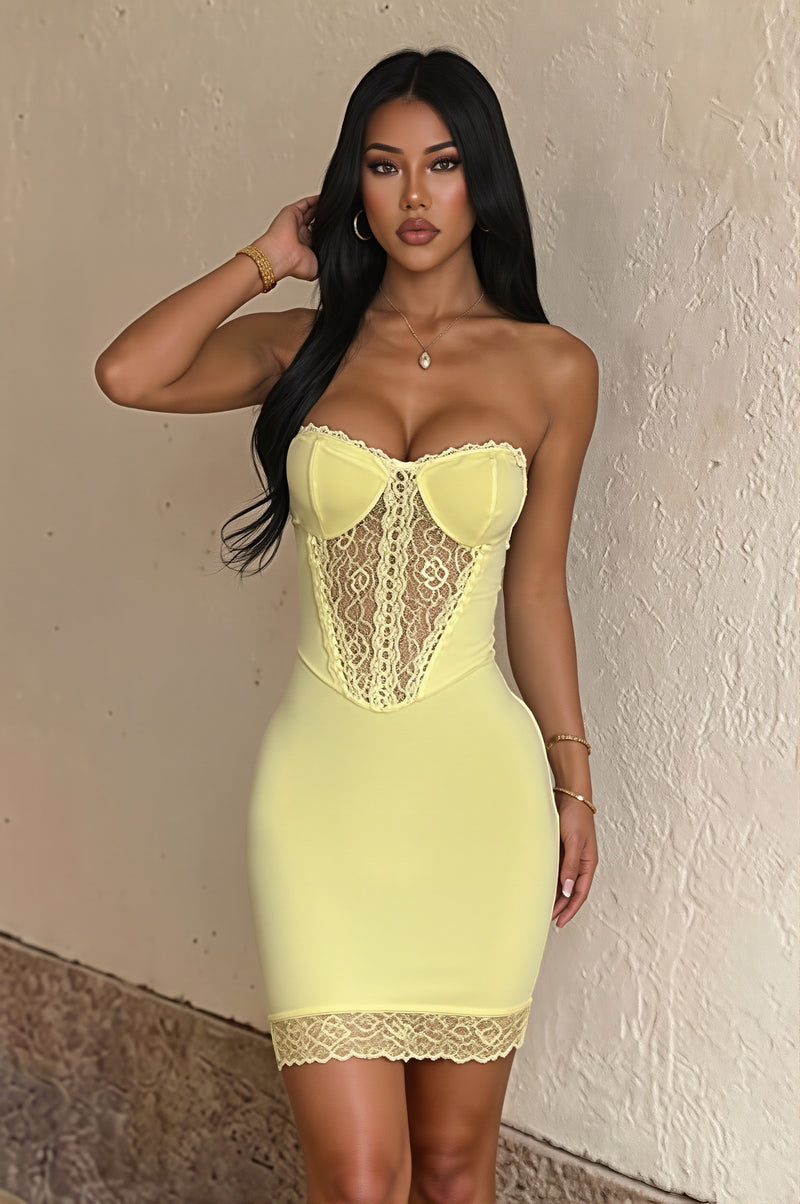 Lace Sheer Tube Sleeveless Mini Dress