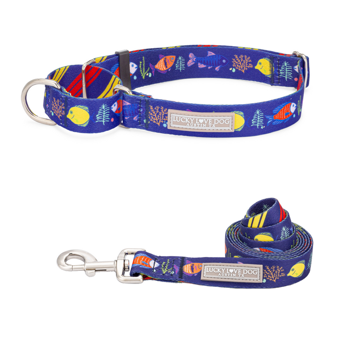 Small / Martingale Collar+Leash (SAVE 10%)