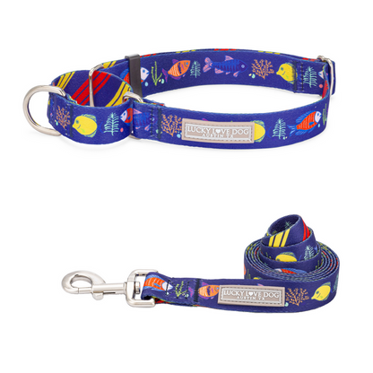 Small / Martingale Collar+Leash (SAVE 10%)